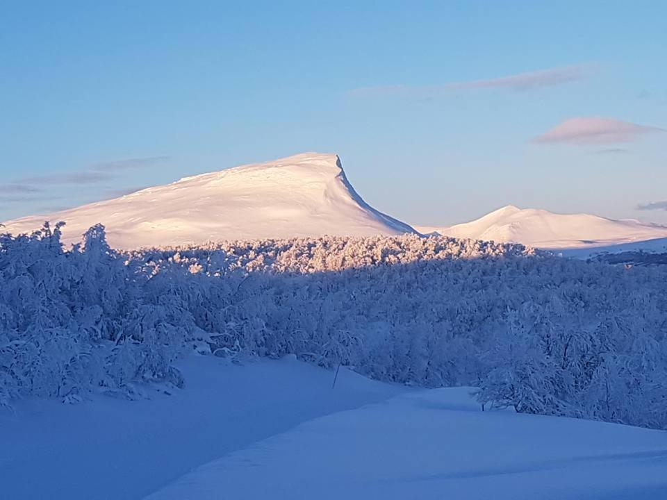 Bruksvallarna - Modern Fjaellstuga Med Panoramautsikt Och Wifi المظهر الخارجي الصورة