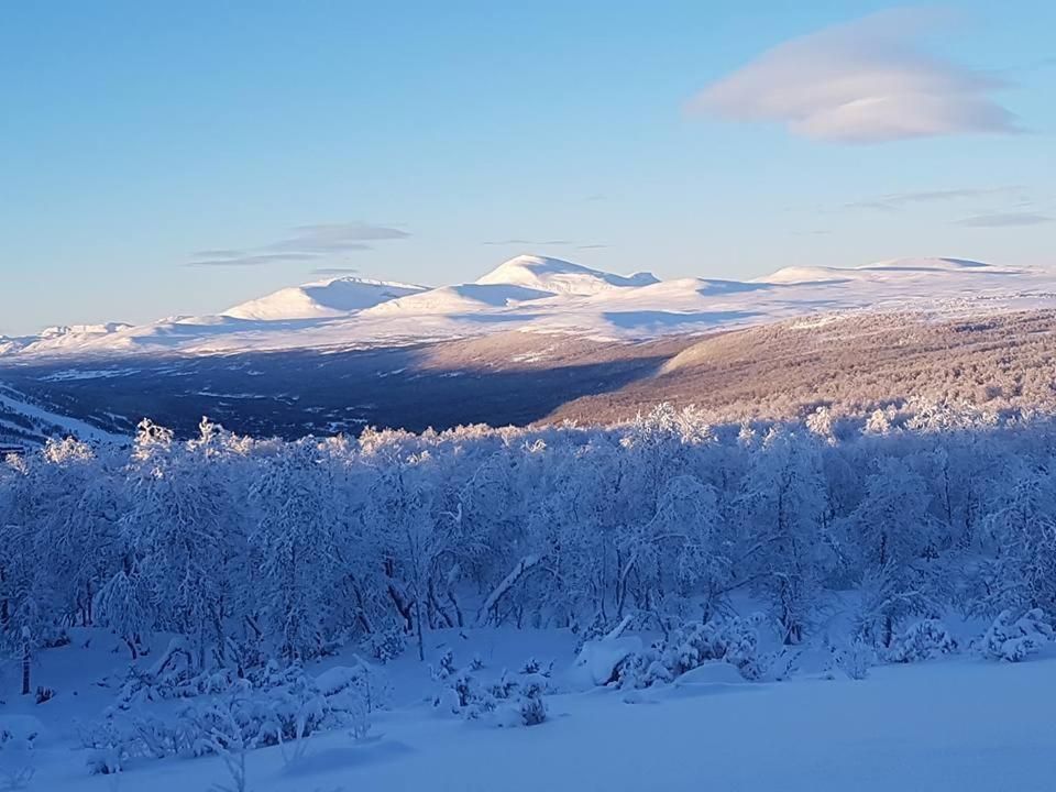 Bruksvallarna - Modern Fjaellstuga Med Panoramautsikt Och Wifi المظهر الخارجي الصورة