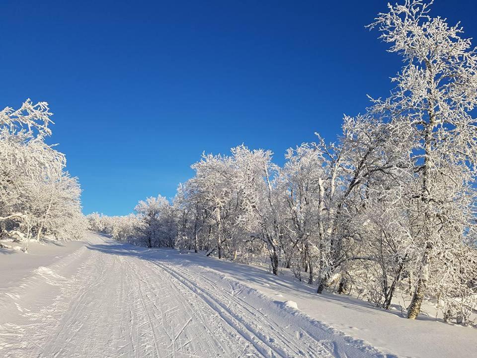 Bruksvallarna - Modern Fjaellstuga Med Panoramautsikt Och Wifi المظهر الخارجي الصورة